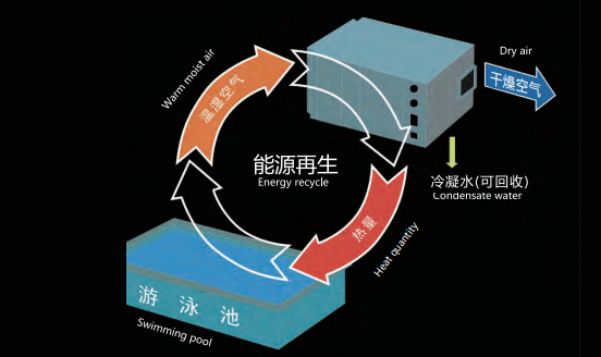 室內(nèi)游泳池除濕機(jī)