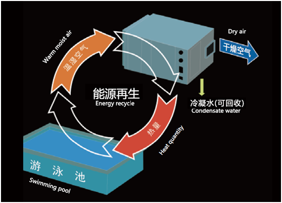 游泳池專用熱泵型恒溫除濕機(jī)原理